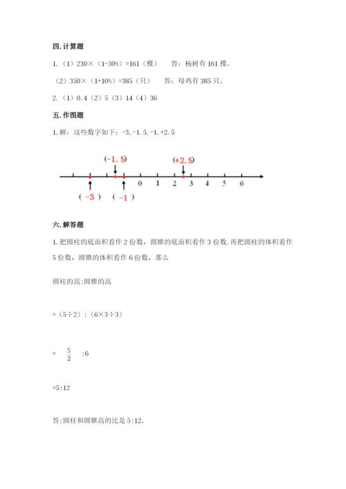 囊谦县六年级下册数学期末测试卷（突破训练）.docx