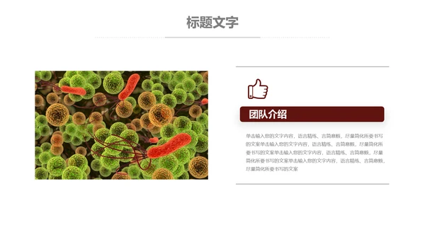 医疗细菌病毒微生物细胞组织动态ppt模板