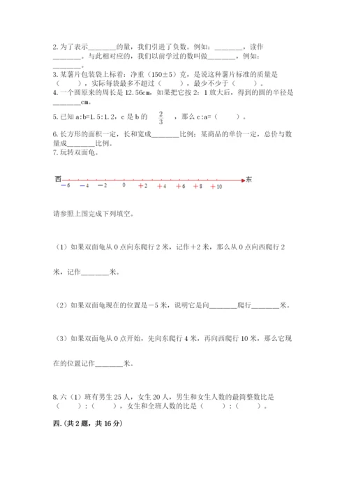 河南省平顶山市六年级下册数学期末测试卷及参考答案.docx