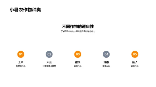 小暑气候与农业