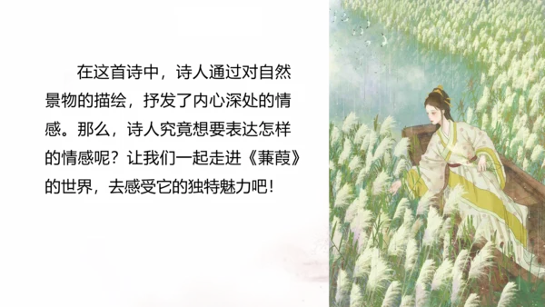 第12课 《诗经》二首——蒹葭 课件(共17张PPT)