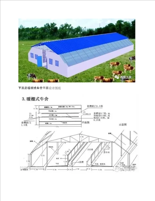 肉牛养殖场平面设计图，养牛场牛棚牛舍图纸