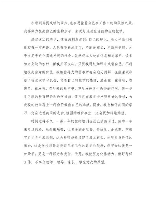 2022年小学老师培训总结