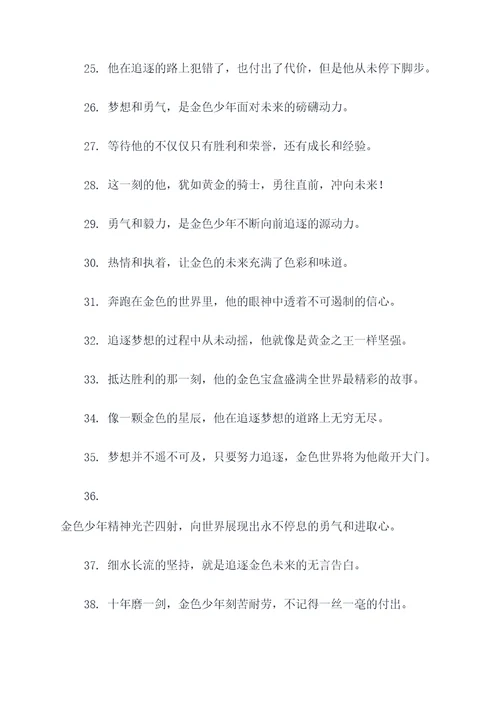 追逐金色的少年的好词好句