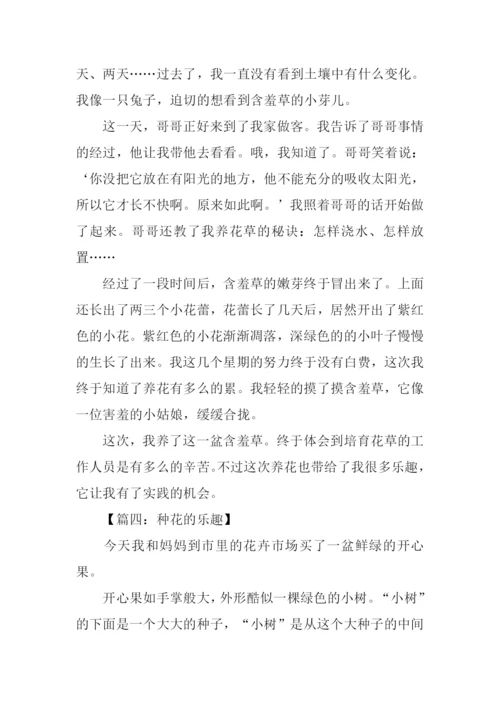 花草作文400字0.docx