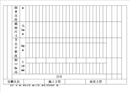 最新实测实量记录表格式