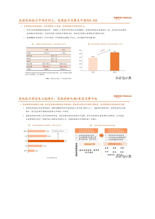 宠物行业研究报告-国产宠物药品发力在即-宠物医院市场格局初定.docx