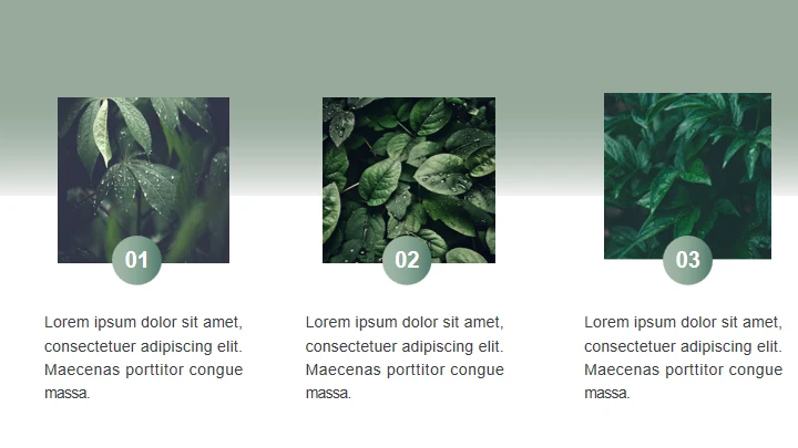 绿色植物自然风格答辩通用PPT模板