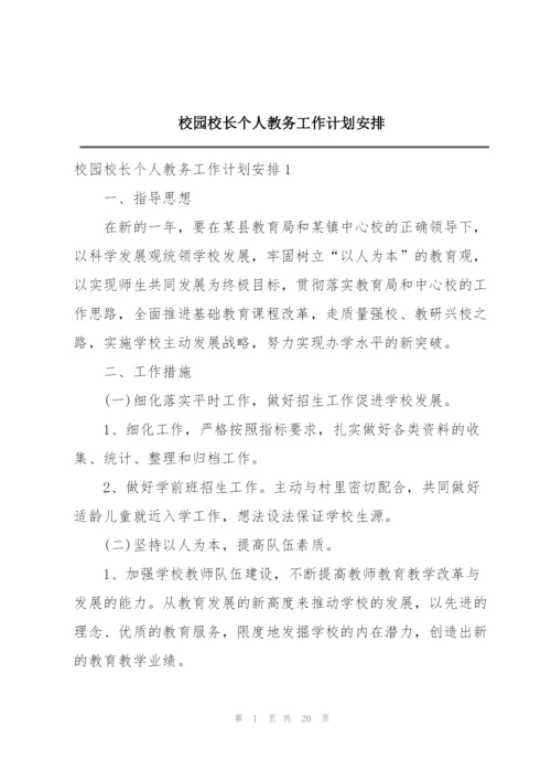 校园校长个人教务工作计划安排.docx