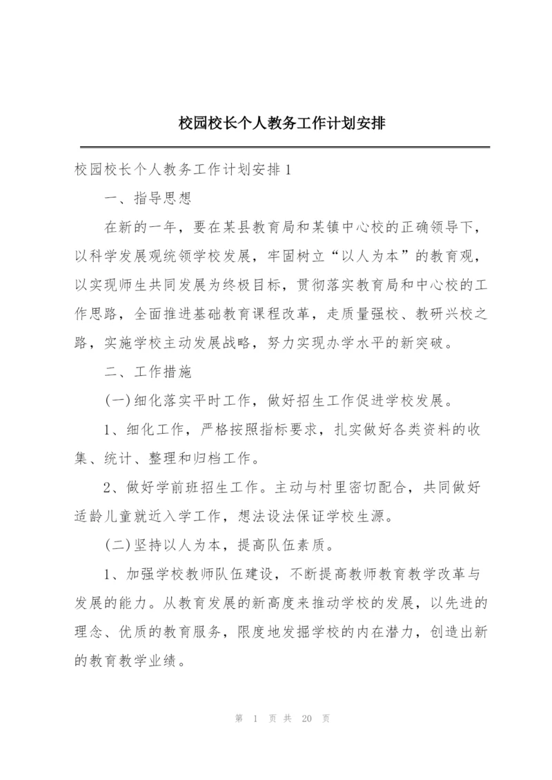 校园校长个人教务工作计划安排.docx