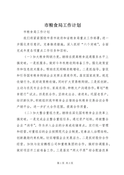 市粮食局工作计划 (3).docx