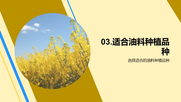 智慧农业：油料种植新篇章