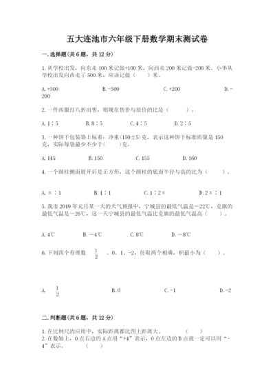 五大连池市六年级下册数学期末测试卷（研优卷）.docx