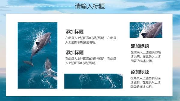 海洋生物大鲸鱼教学经验交流通用PPT