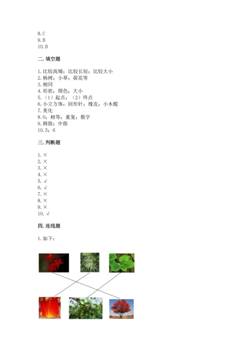 教科版一年级上册科学期末测试卷附参考答案【考试直接用】.docx