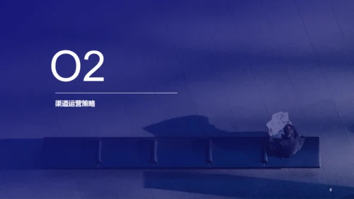 紫色运营计划市场策划PPT案例