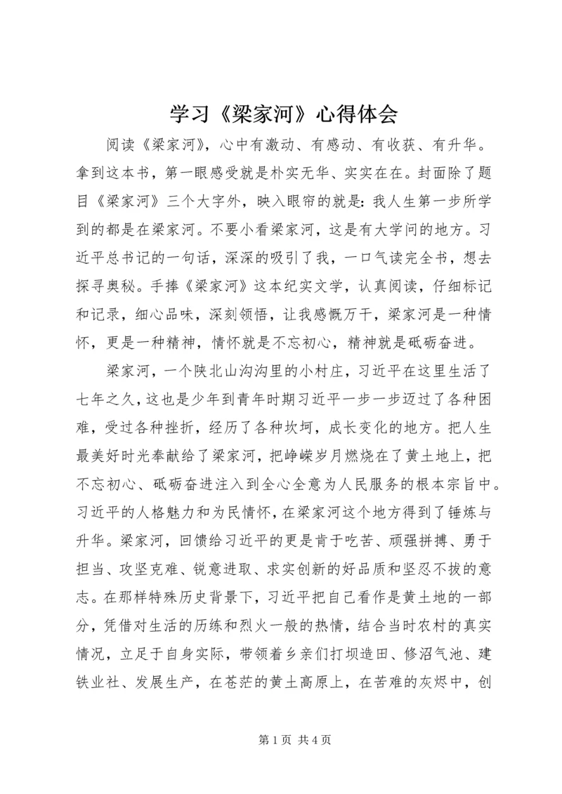 学习《梁家河》心得体会 (10).docx