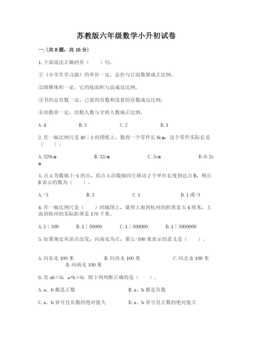 苏教版六年级数学小升初试卷精品【典优】.docx
