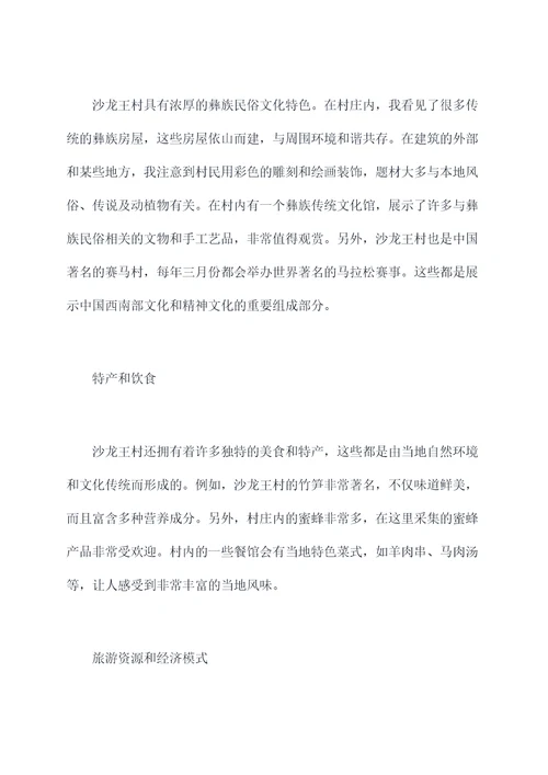 参观沙龙王村心得体会