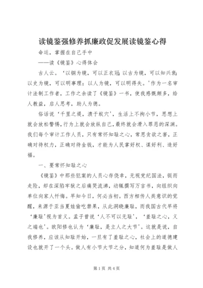 读镜鉴强修养抓廉政促发展读镜鉴心得 (2).docx