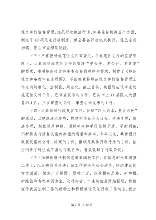 人民政府上半年依法行政工作汇报.docx