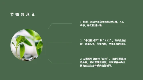 简约风植树节主题班会通用PPT模板