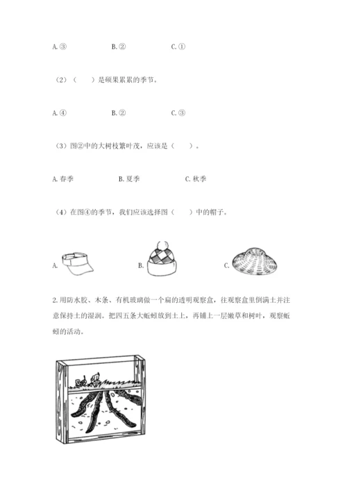 教科版小学二年级上册科学期末测试卷精品【巩固】.docx