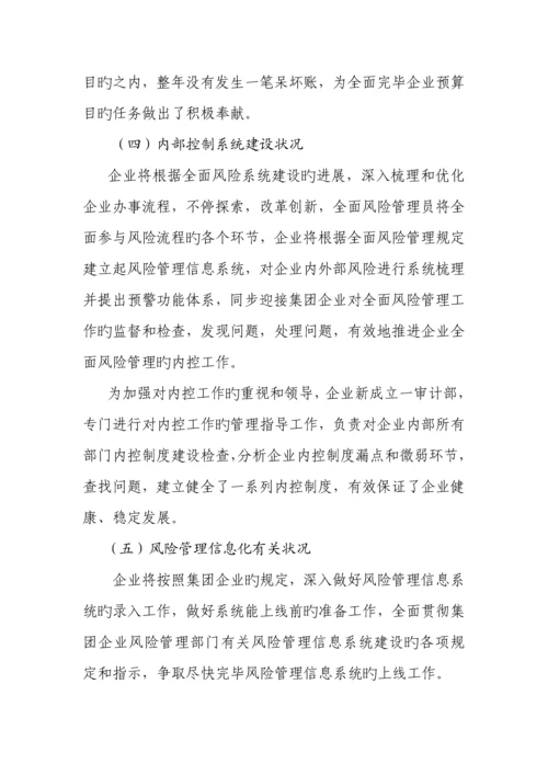 公司全面风险管理报告.docx