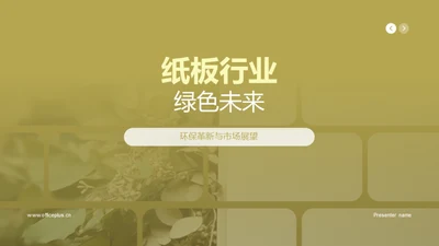 纸板行业绿色未来