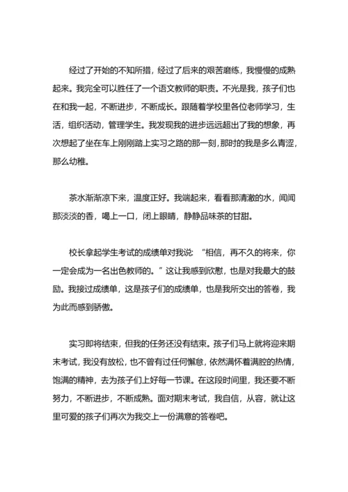 冬季顶岗实习个人总结.docx