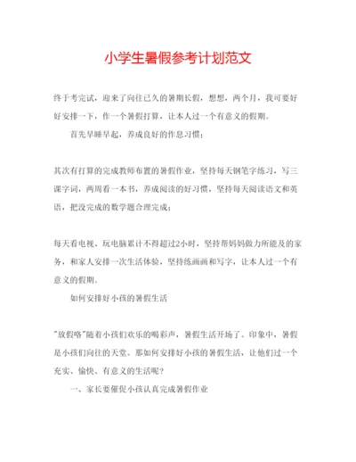 精编小学生暑假参考计划范文.docx