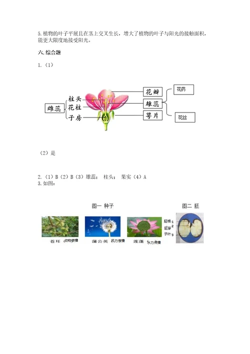 科学四年级下册第一单元《植物的生长变化》测试卷及答案（全优）