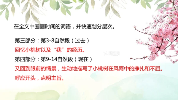 第19课 一棵小桃树 课件(共24张PPT)