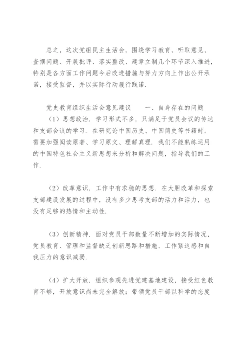 党史教育组织生活会意见建议.docx