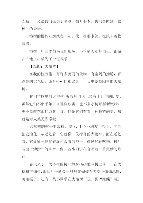 描写大榕树的作文.docx