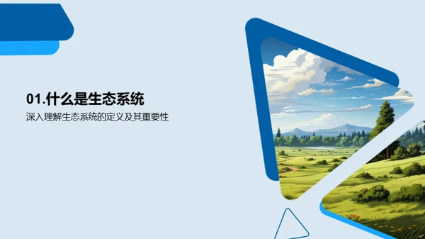生态平衡与保护