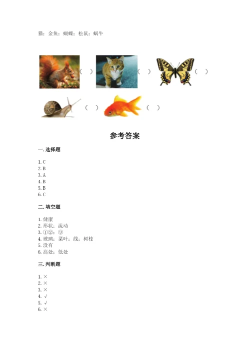 教科版小学科学一年级下册期末测试卷及答案（历年真题）.docx