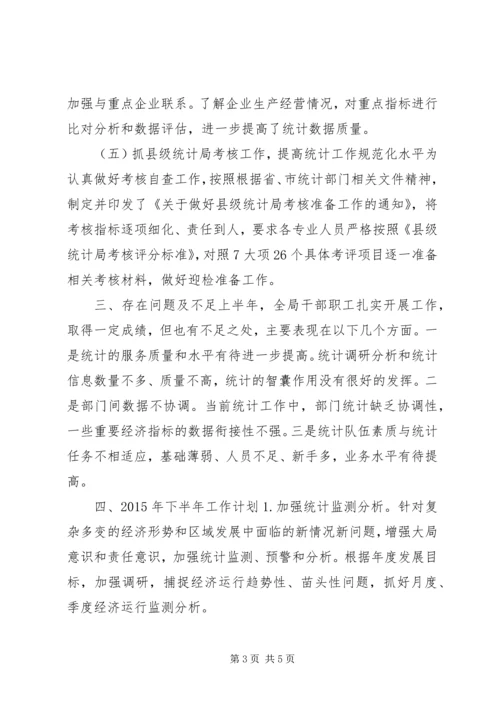 乡镇统计局上半年工作总结及下半年工作计划.docx