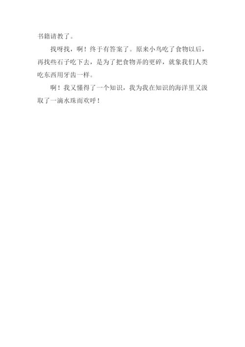 我发现作文0.docx