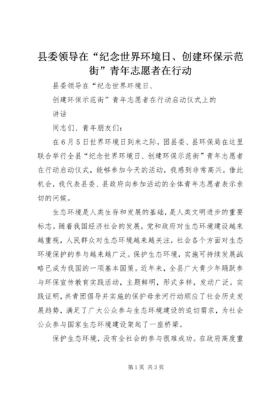 县委领导在“纪念世界环境日、创建环保示范街”青年志愿者在行动.docx