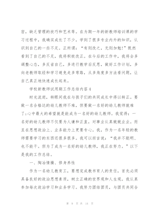 学校新教师试用期工作总结内容.docx