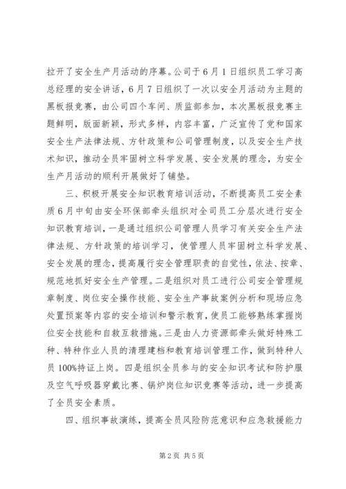 乡镇某年安全生产月活动工作总结.docx