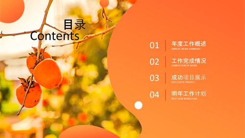 推动乡村振兴乡村新农村建设乡村旅游ppt