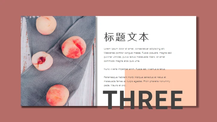 文艺时尚杂志INS风图文排版通用PPT