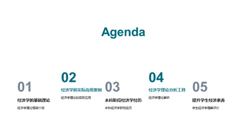 经济学实践指南