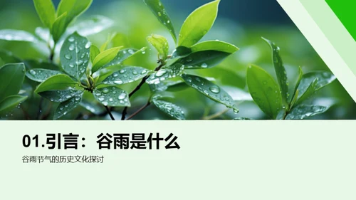 谷雨季节的健康指南