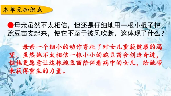 部编版语文四年级上册第二单元复习课件