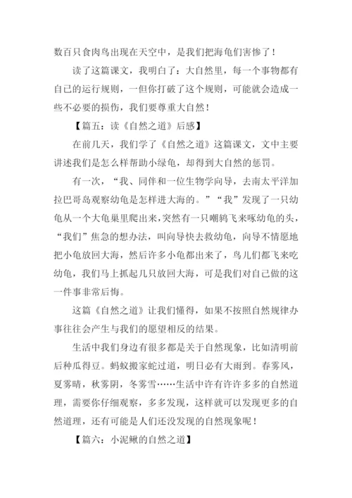 自然之道作文300字.docx