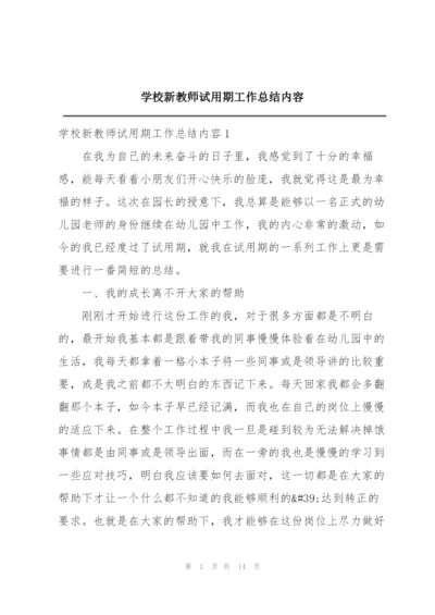 学校新教师试用期工作总结内容.docx