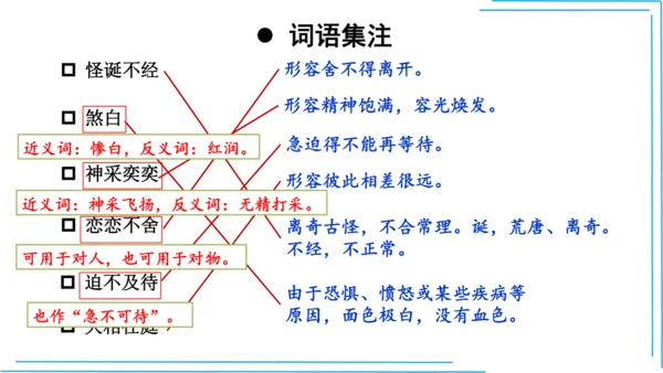 七上语文期中期末复习2_3词语运用每课晨读 课件(共47张PPT)